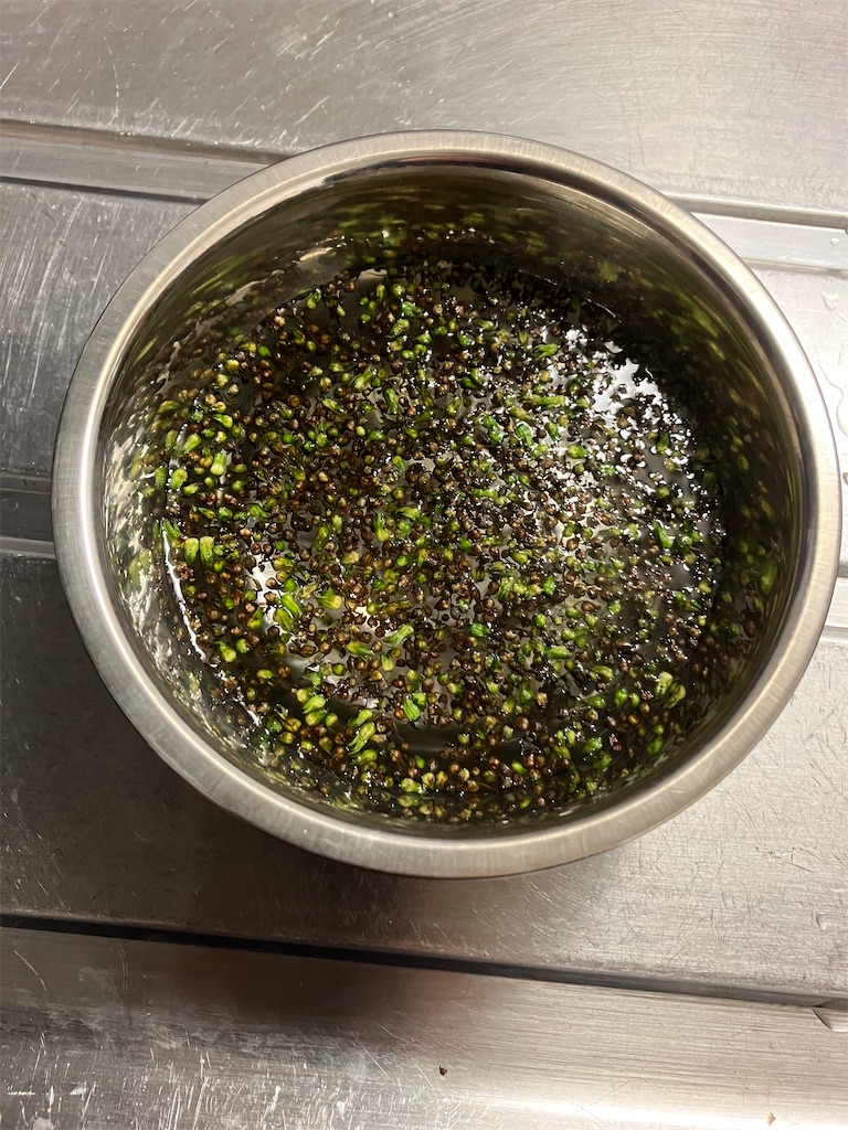 f:id:togimarufriends:20231020014943j:image