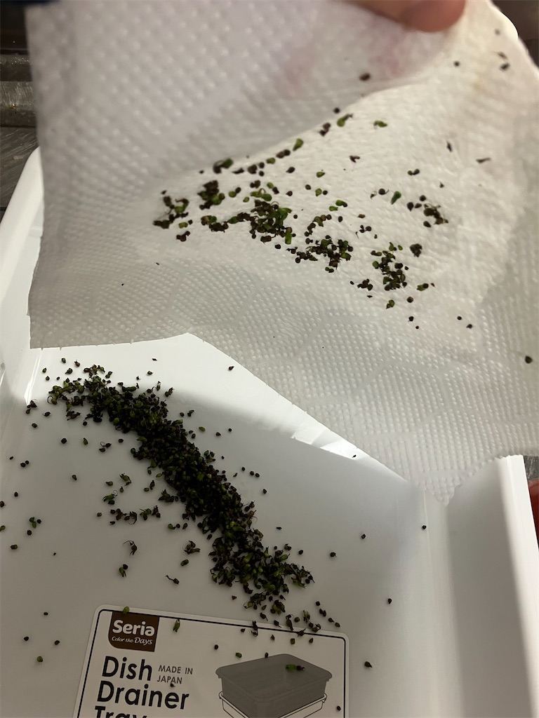 f:id:togimarufriends:20231021015307j:image