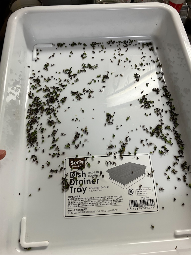 f:id:togimarufriends:20231021015336j:image