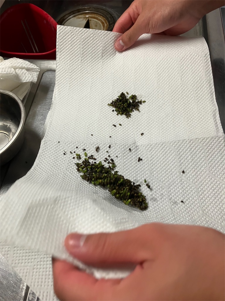 f:id:togimarufriends:20231021015452j:image