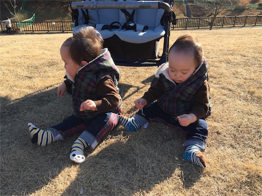f:id:togokoro:20170301225130j:image f:id:togokoro:20170301225130j:image