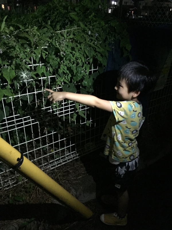 f:id:toguo:20161023065832j:plain f:id:toguo:20161023065832j:plain