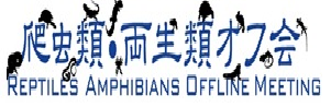 f:id:tohira_1017:20180606193826p:plain f:id:tohira_1017:20180606193826p:plain
