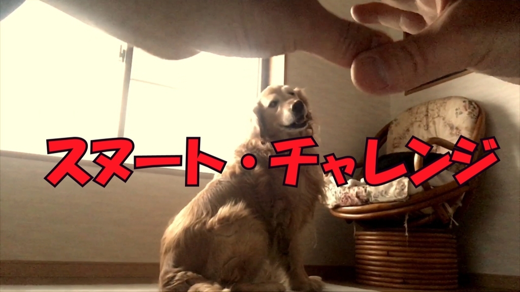 f:id:tohma197:20190312151233j:plain f:id:tohma197:20190312151233j:plain