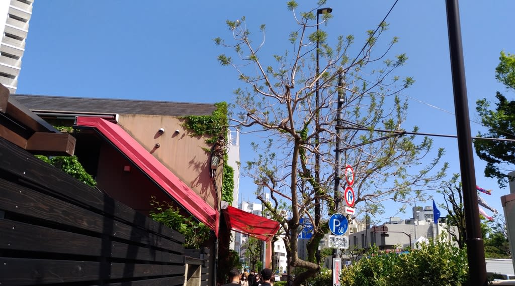 (125) 旧山手通り(2km くらい)【東京通称道路制覇】 - tohoderblog