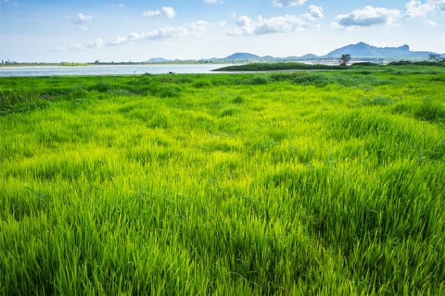 f:id:tohohononikki:20220802182122j:image f:id:tohohononikki:20220802182122j:image