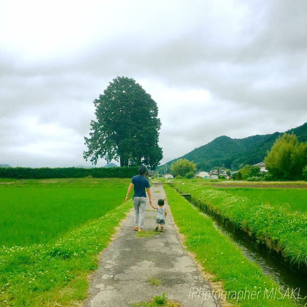 f:id:tohokamiehitame123:20160618232425j:image f:id:tohokamiehitame123:20160618232425j:image