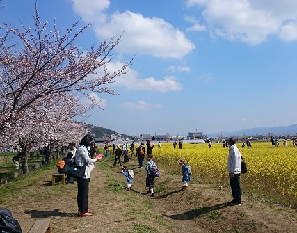 f:id:tohoku--kansai:20190412090208j:plain f:id:tohoku--kansai:20190412090208j:plain