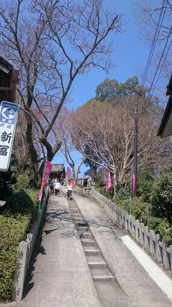 f:id:tohoku--kansai:20190417122926j:plain