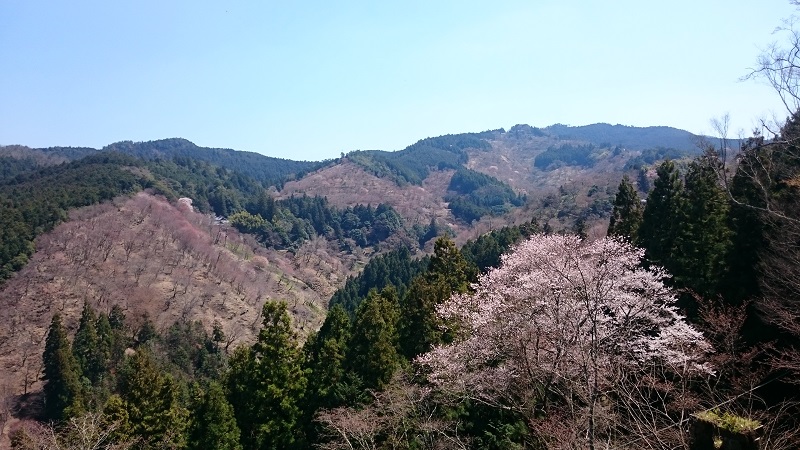 f:id:tohoku--kansai:20190417124307j:plain