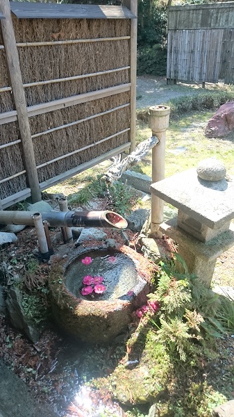 f:id:tohoku--kansai:20190417133235j:plain