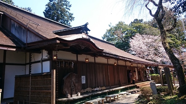 f:id:tohoku--kansai:20190417214730j:plain