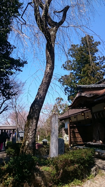 f:id:tohoku--kansai:20190418102816j:plain