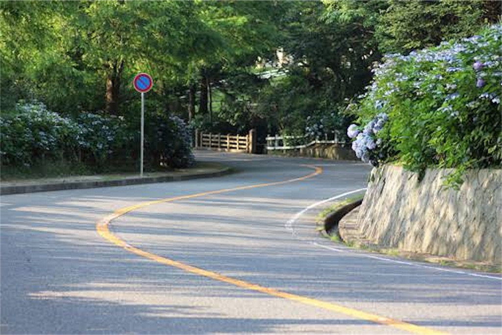 f:id:tohru_quattro-m19:20190530112335j:image f:id:tohru_quattro-m19:20190530112335j:image