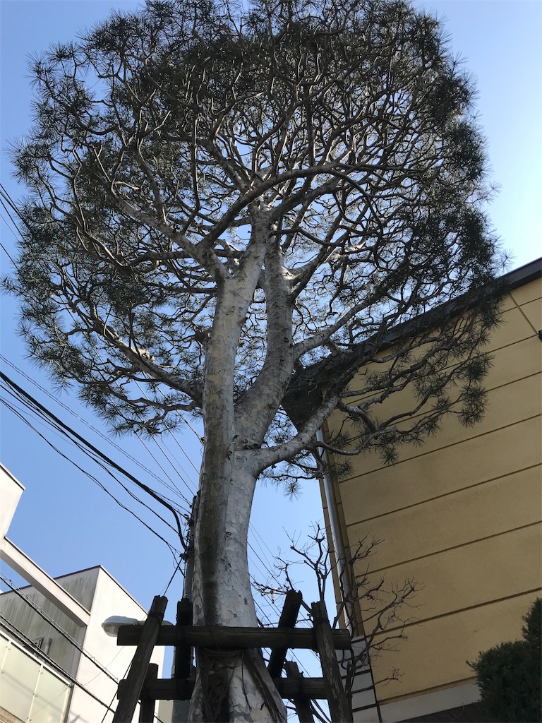 f:id:tohrusampo:20180219194449j:image