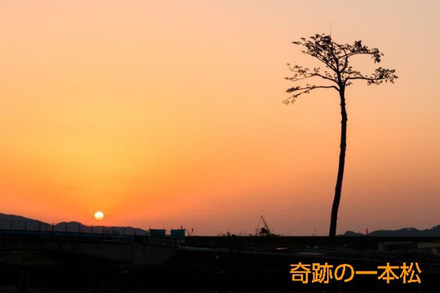 f:id:tohryufd:20210311104309j:image f:id:tohryufd:20210311104309j:image