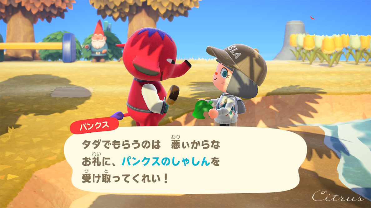 f:id:toimaru332:20201127234535j:plain