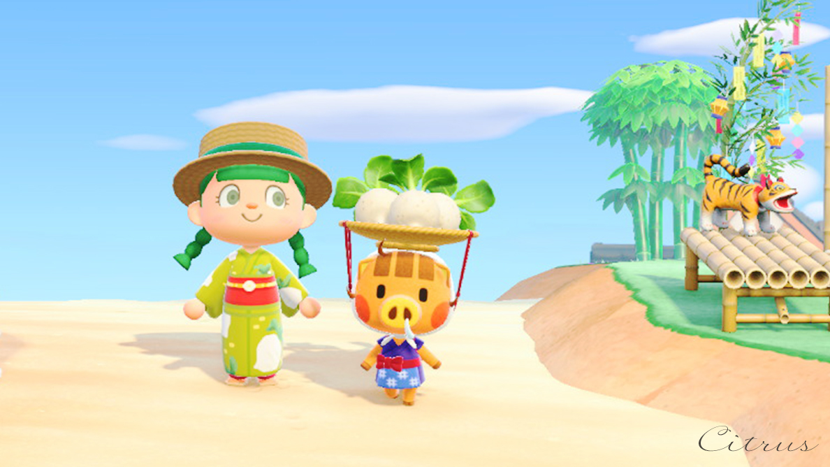 シトラス島のかほり