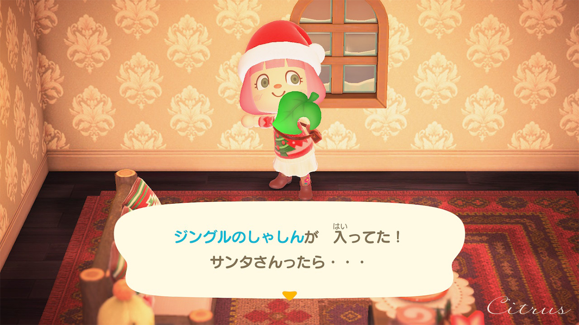 f:id:toimaru332:20201228144456j:plain