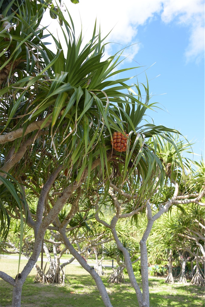 f:id:toiro1107:20240225221818j:image f:id:toiro1107:20240225221818j:image