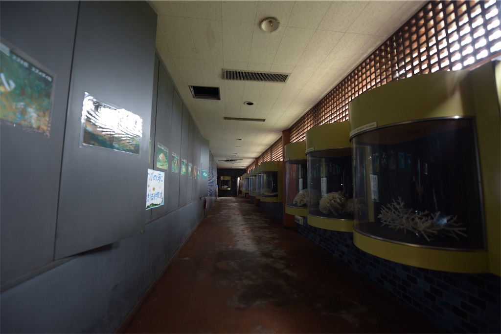 f:id:toiro1107:20241212154503j:image f:id:toiro1107:20241212154503j:image