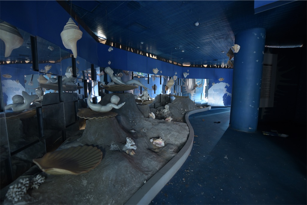 f:id:toiro1107:20241212154611j:image f:id:toiro1107:20241212154611j:image