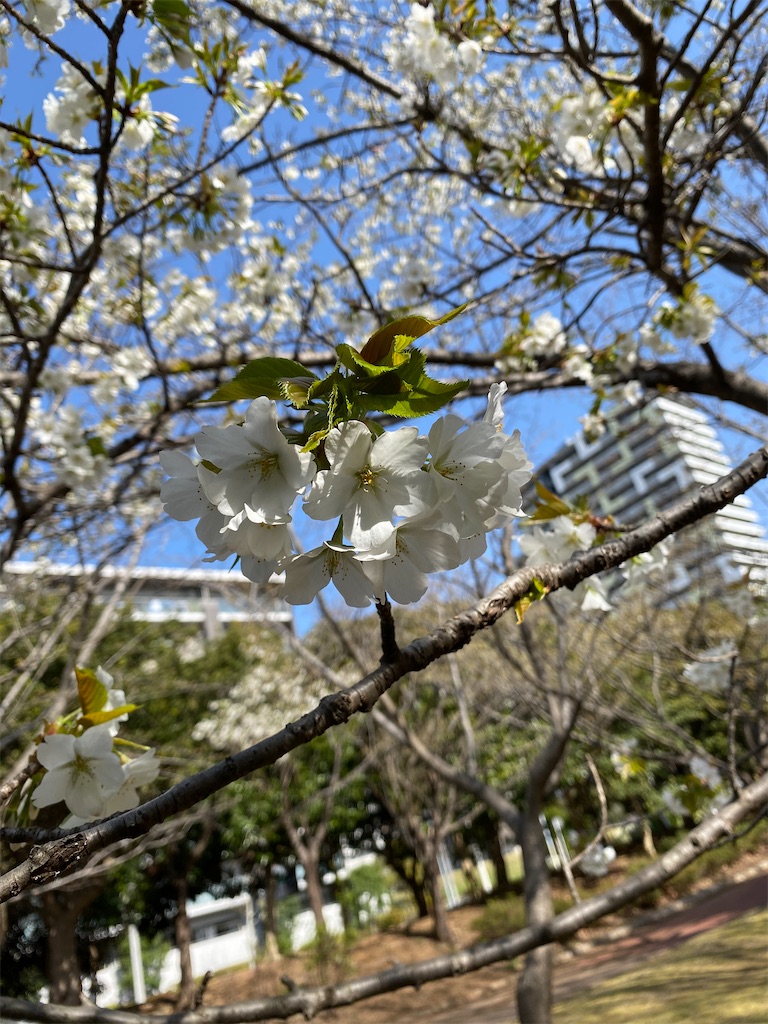 f:id:toironohibi:20210318214116j:image