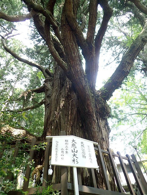 f:id:toitoiwriter:20180615224752j:plain f:id:toitoiwriter:20180615224752j:plain