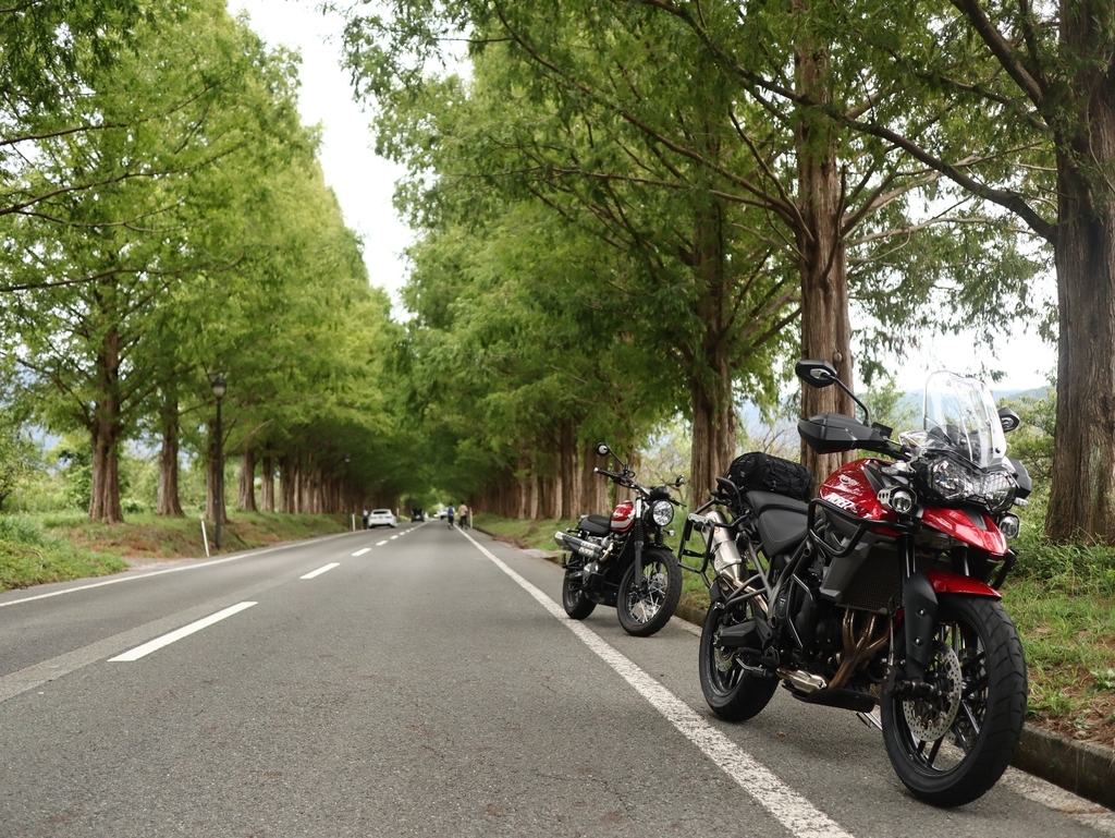 f:id:toiz_moto:20180904221206j:plain f:id:toiz_moto:20180904221206j:plain