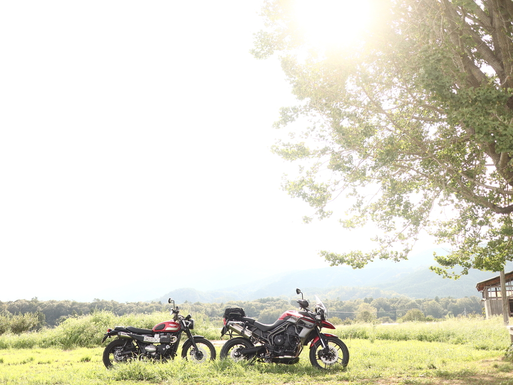 f:id:toiz_moto:20180904222836j:plain f:id:toiz_moto:20180904222836j:plain