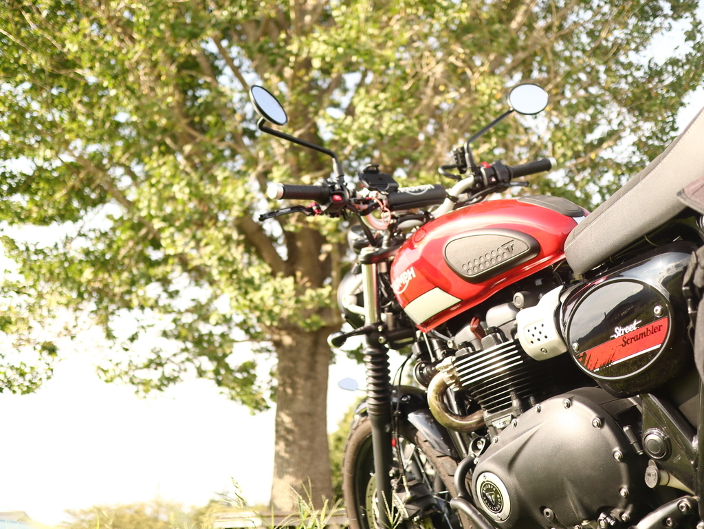 f:id:toiz_moto:20180904223146j:plain f:id:toiz_moto:20180904223146j:plain