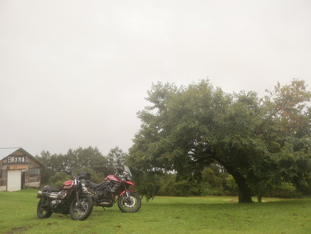 f:id:toiz_moto:20180911185421j:plain f:id:toiz_moto:20180911185421j:plain
