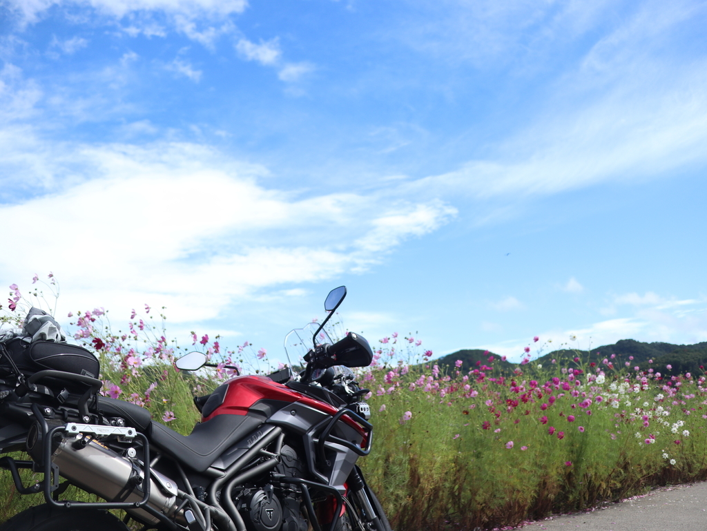 f:id:toiz_moto:20180913222222j:plain f:id:toiz_moto:20180913222222j:plain