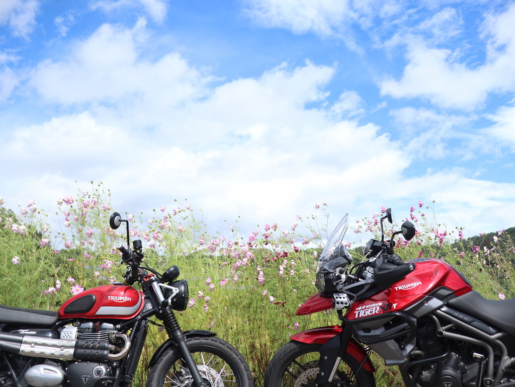 f:id:toiz_moto:20180913222349j:plain f:id:toiz_moto:20180913222349j:plain