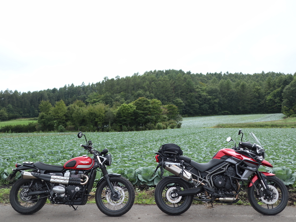 f:id:toiz_moto:20180913223329j:plain f:id:toiz_moto:20180913223329j:plain
