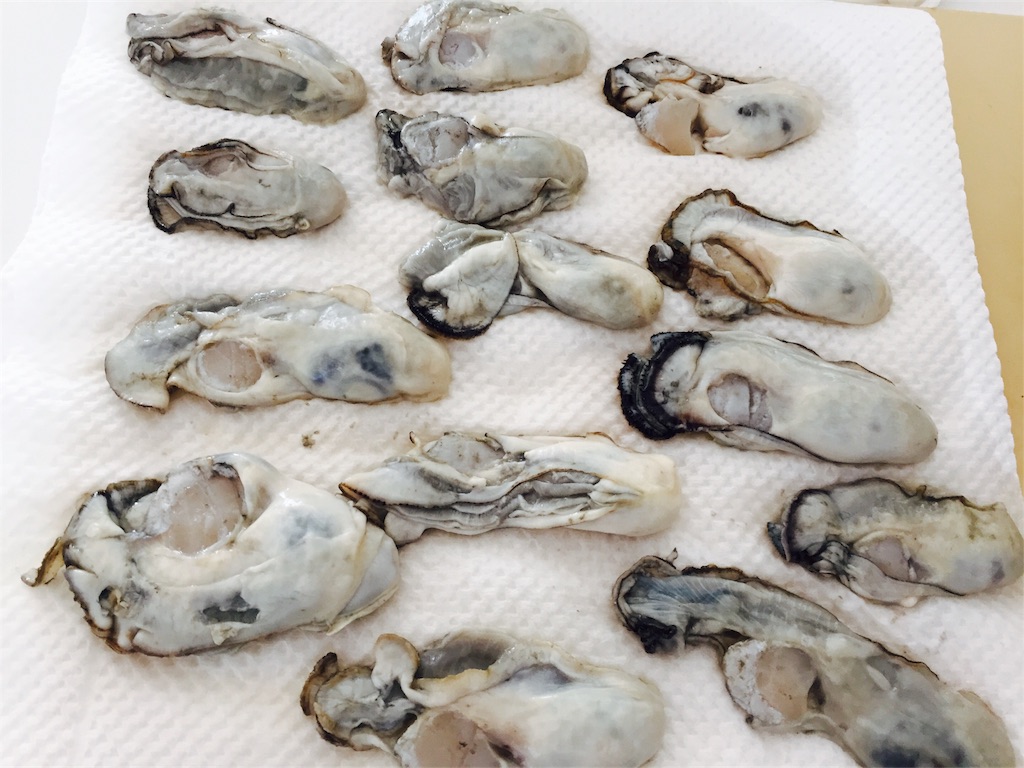 f:id:tojikoji:20161112211625j:image