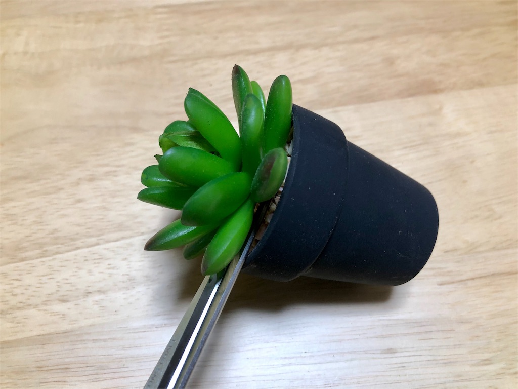 f:id:toka2287:20190523071411j:image f:id:toka2287:20190523071411j:image