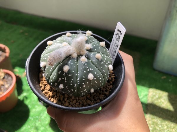 20190814173657