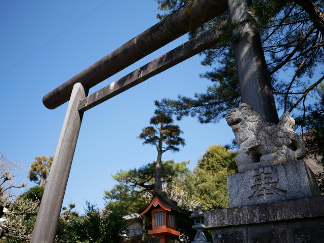 f:id:tokacomp:20180318130722j:image