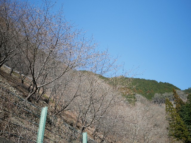f:id:tokacomp:20180318142236j:image