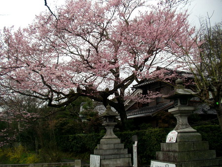f:id:tokagex:20070401135020j:image