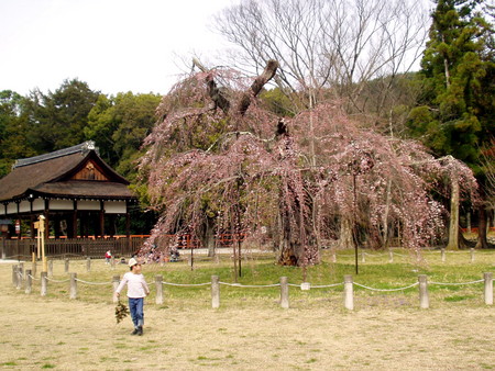 f:id:tokagex:20070401135355j:image