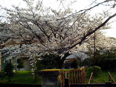 f:id:tokagex:20070401140932j:image