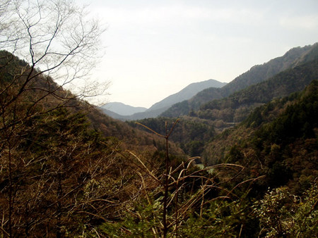 f:id:tokagex:20080427141032j:image f:id:tokagex:20080427141032j:image
