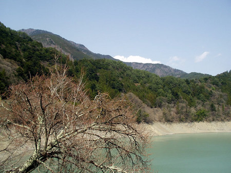 f:id:tokagex:20080427141037j:image f:id:tokagex:20080427141037j:image