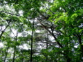 20080907103816