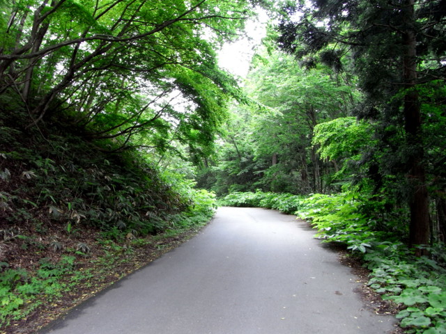 f:id:tokagex:20090614120815j:image