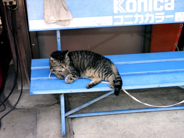 f:id:tokagex:20090614155752j:image
