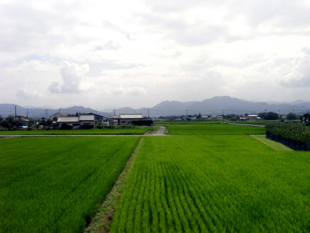 f:id:tokagex:20090804141819j:image