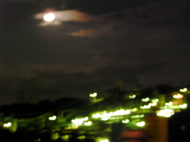 f:id:tokagex:20090804194625j:image